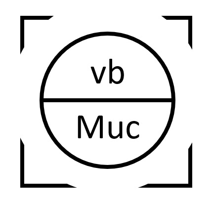 Logo Victor Bachmann Fotografie